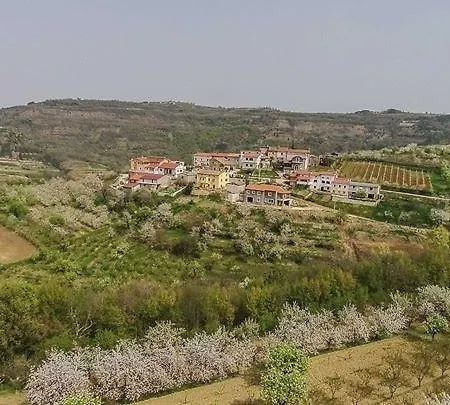 Bertosa *