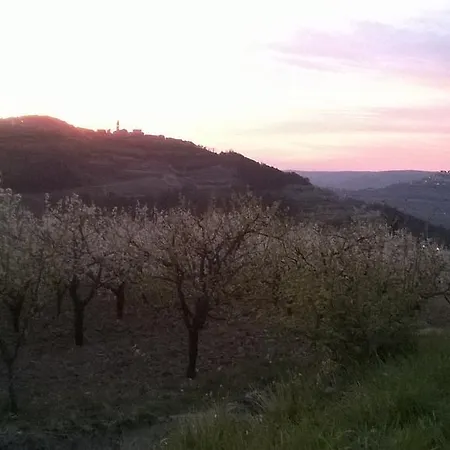 Bertosa * Motovun