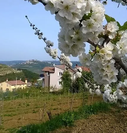 Villa Bertosa